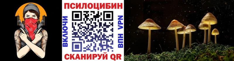 Галлюциногенные грибы мухоморы Катав-Ивановск